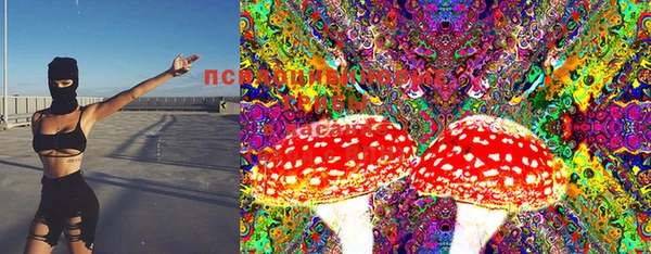 соль ск Нефтегорск