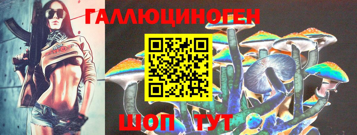 Алексеевка  Псилоцибиновые грибы Psilocybine cubensis  Вход с VPN 