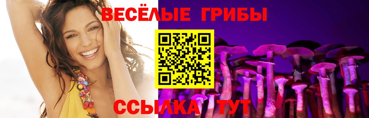 Псилоцибиновые грибы мицелий  Алексеевка 