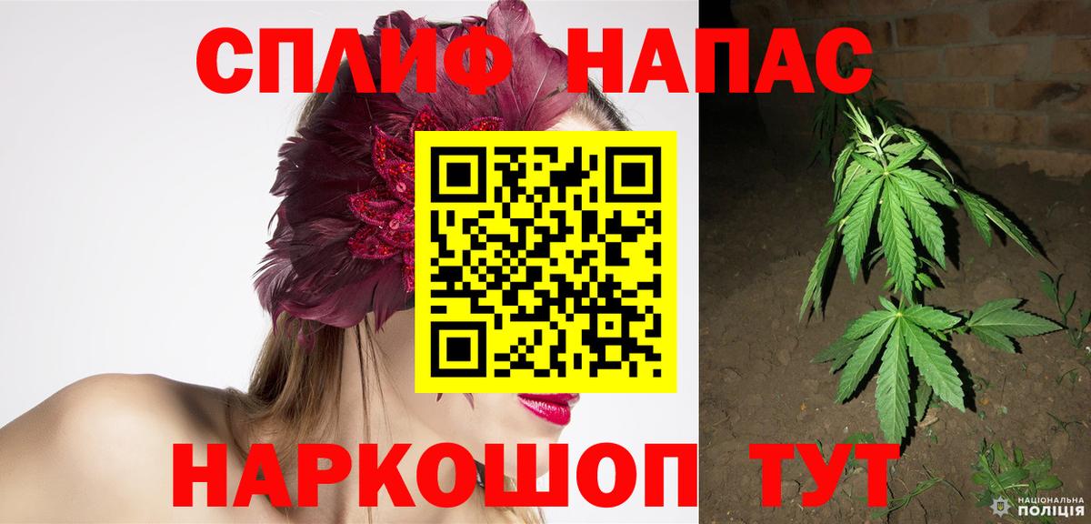 Алексеевка  Конопля сатива  Шишки марихуана LSD WEED  Бошки марихуана планчик  Вход с VPN 